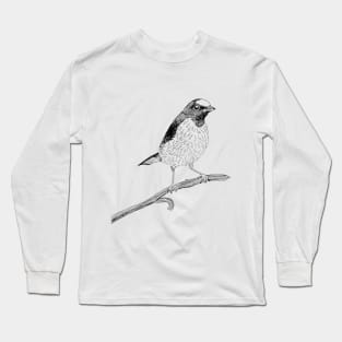 Euphonia Bird Long Sleeve T-Shirt